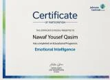 Emotional Intelligence
